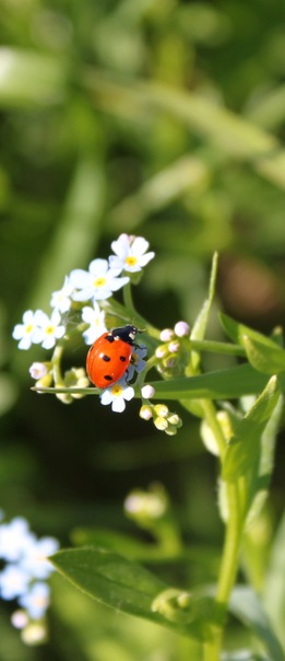 №45, Евгения Швед, Тверь №45, Евгения Швед, Тверь