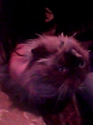 Анна Яковлева Дмитриевна | Клин