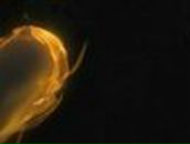 Konstantin Rodionov | Энгельс