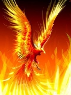 №15, Денис Романюк №15, Денис Романюк