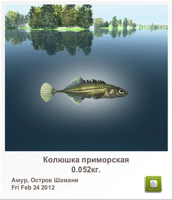 Олег Андрущенко | Киев