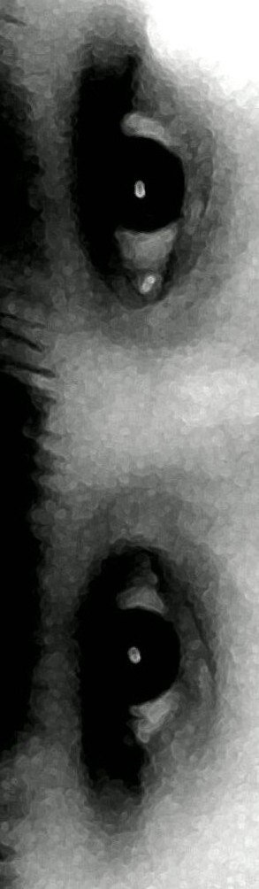 Аля Погодина | Мончегорск