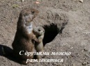 Фотография Юрченко Славика