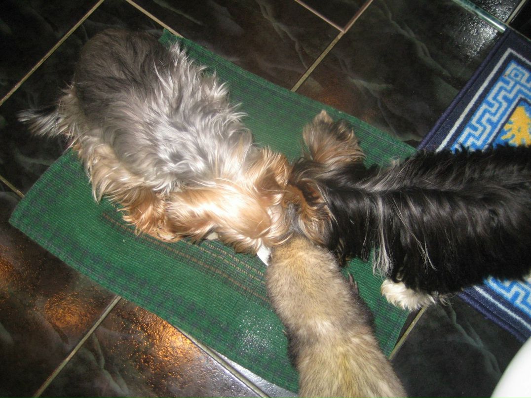 Татьяна Васильева | Санкт-Петербург