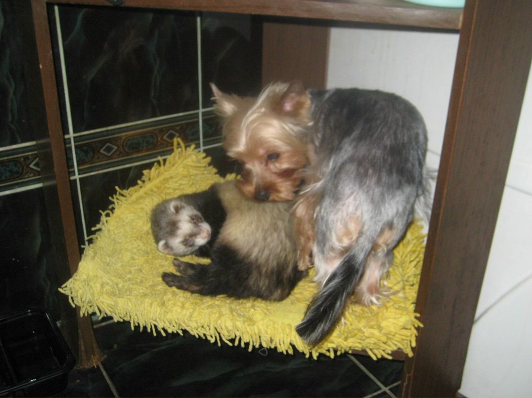 Татьяна Васильева | Санкт-Петербург