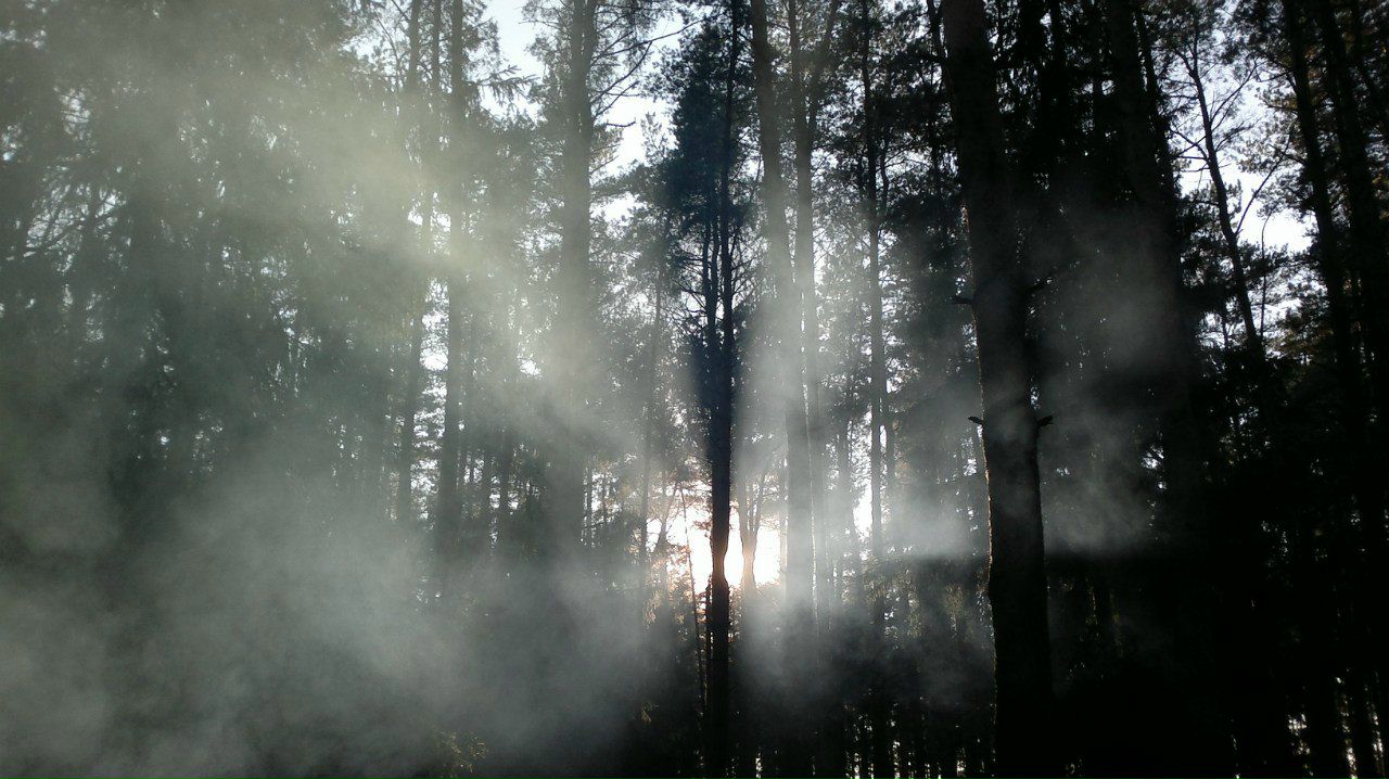 Алексей Танин (ALEKCIH ака GugnAlex) | Москва