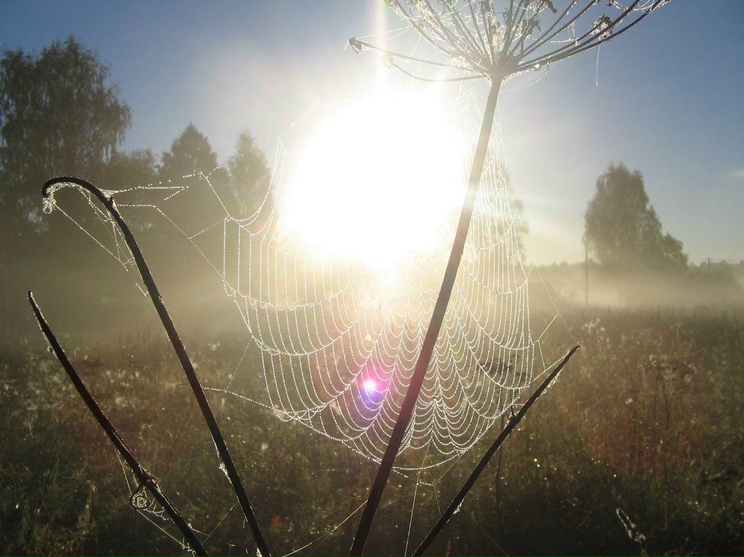 Дмитрий Карелов | Москва