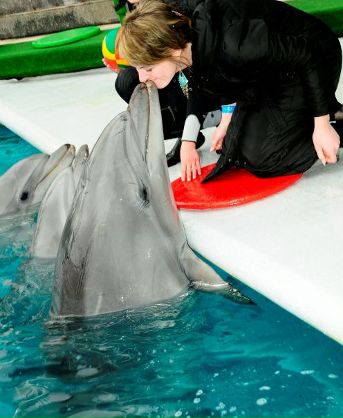 №119, Юлия Каспер-Науменко, Киев №119, Юлия Каспер-Науменко, Киев