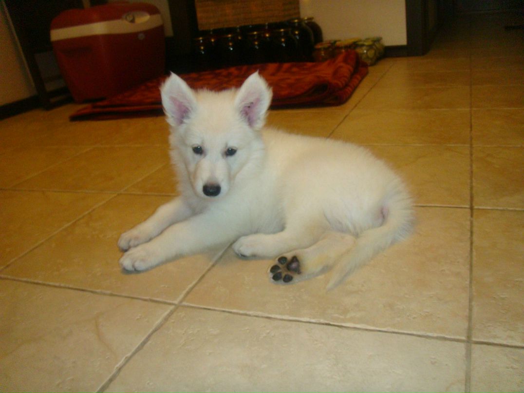 Влад Якубовский | Ивано-Франковск