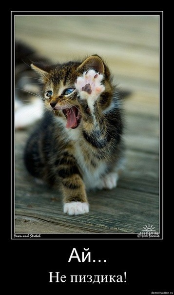 №127, Айгуль Абзалова, 35 лет, Уфа №127, Айгуль Абзалова, 35 лет, Уфа