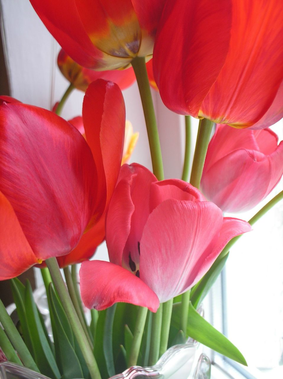 Елена Трофимова | 