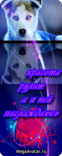 Павел Зеленський | Киев