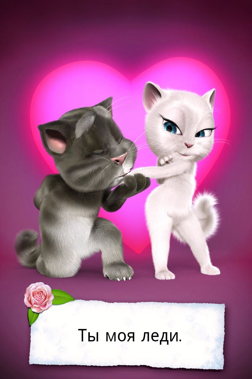 Илья Сердюков | Санкт-Петербург