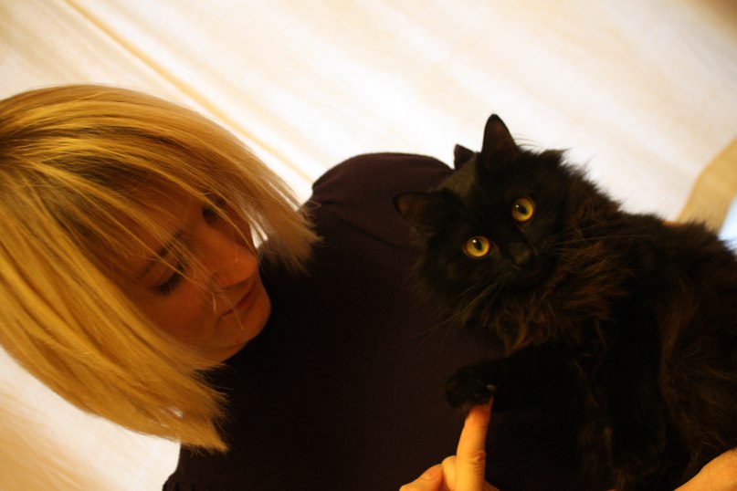 Irys Irish | Москва