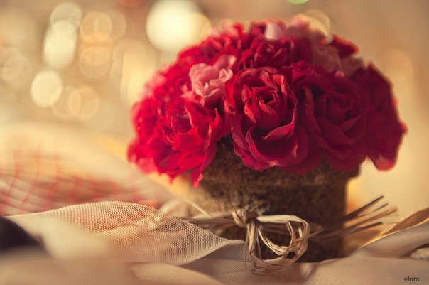 Екатерина Баб'як | Белая Церковь