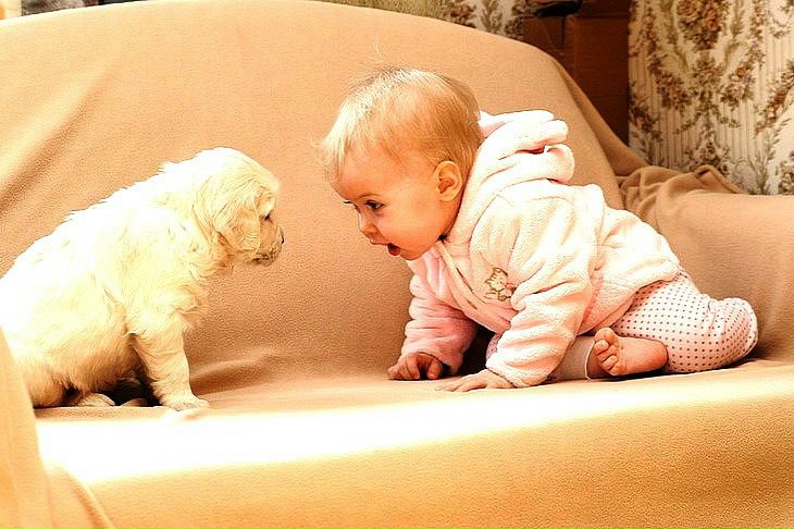 №33, Елена Смирнова, 59 лет, Набережные Челны, Россия №33, Елена Смирнова, 59 лет, Набережные Челны, Россия