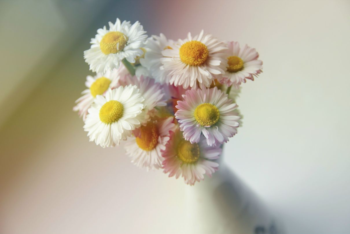 Злата Леонова | Екатеринбург