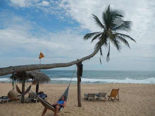 Валерий Губарь | Краснодар