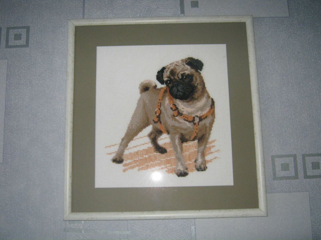 Стракшис Галина | Псков