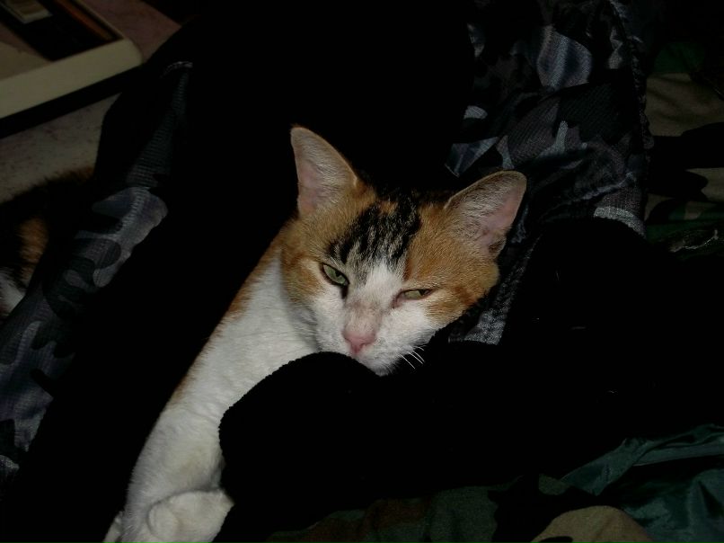 Juan Gomez Pablo | Brownsville