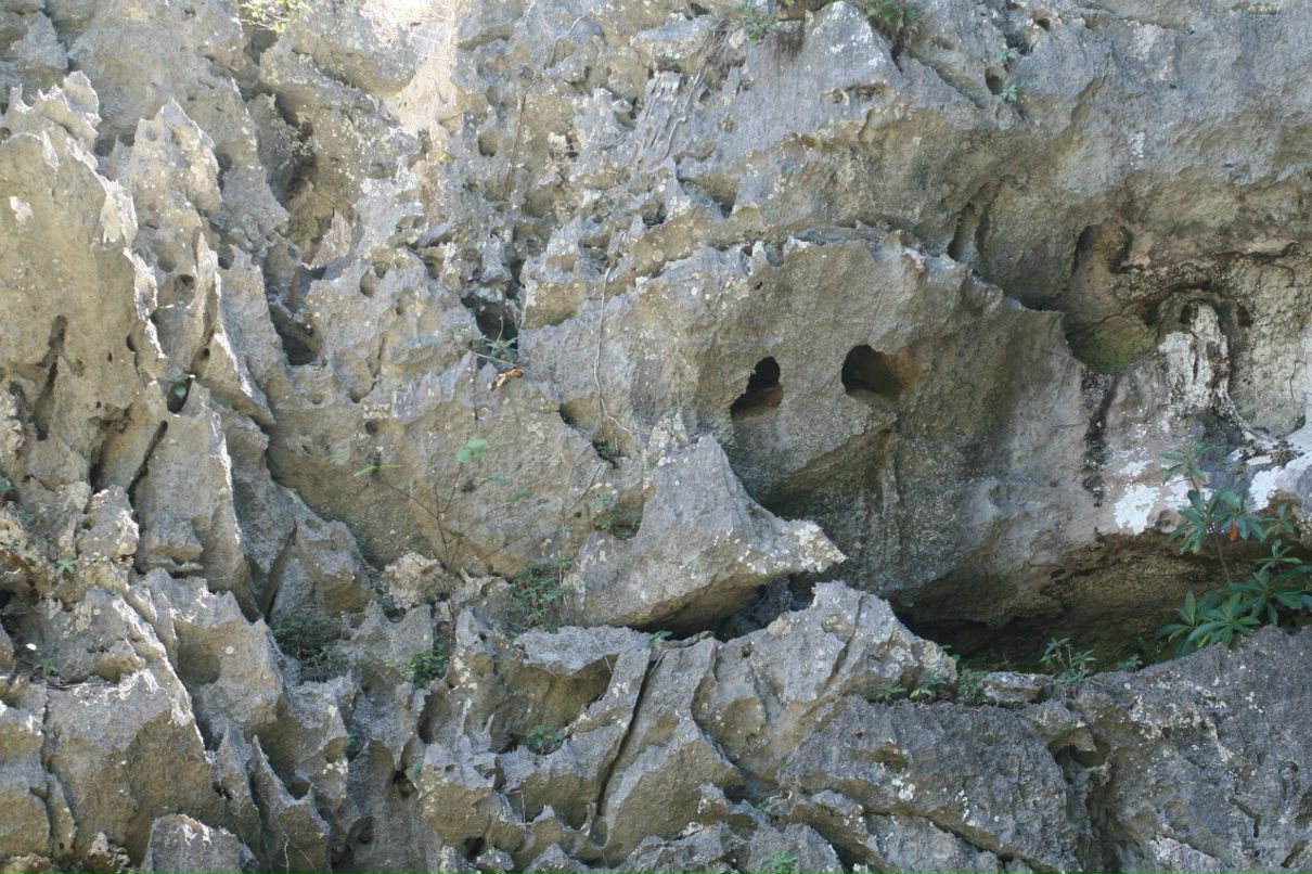 Элина Подъяблонская | Москва