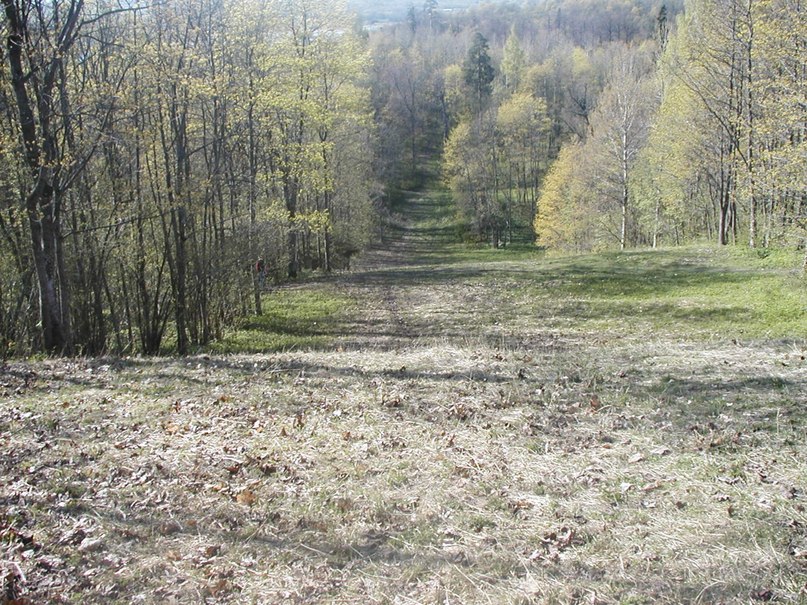 Ирина Клименко | Санкт-Петербург