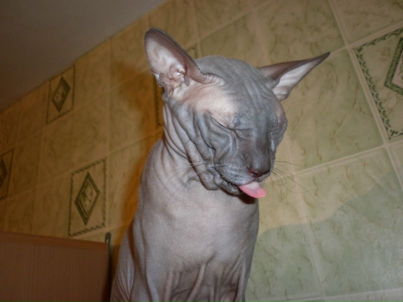 Евгения Гаранина | Дивногорск