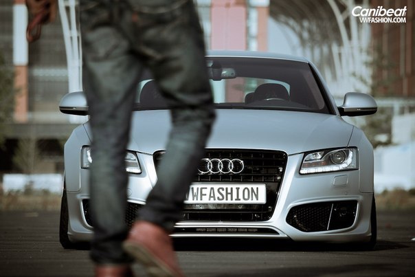 Алекс Александров | 