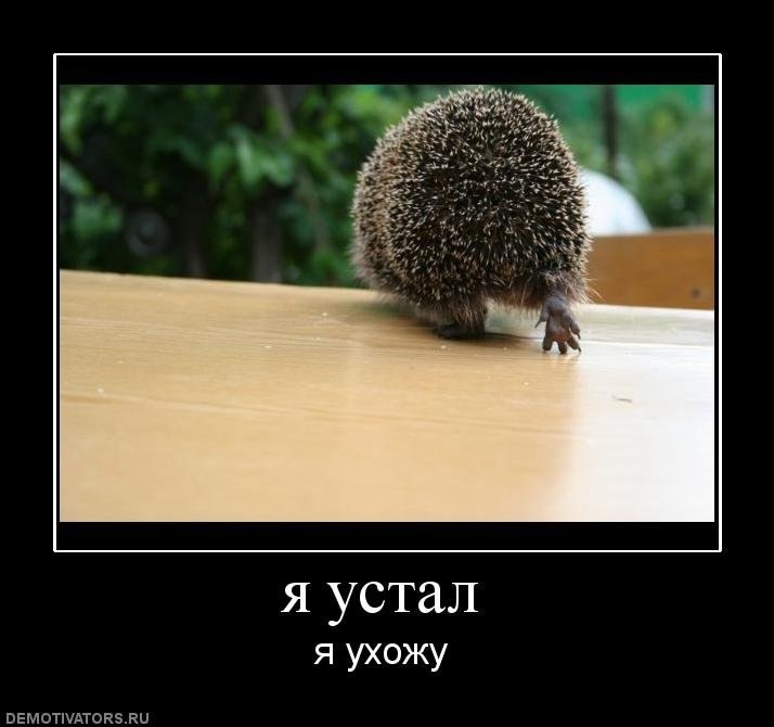 Дарья Кириллова <<4eBelka>> | Великий Новгород