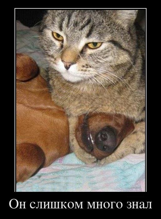 Алексей Зайковский | Гродно