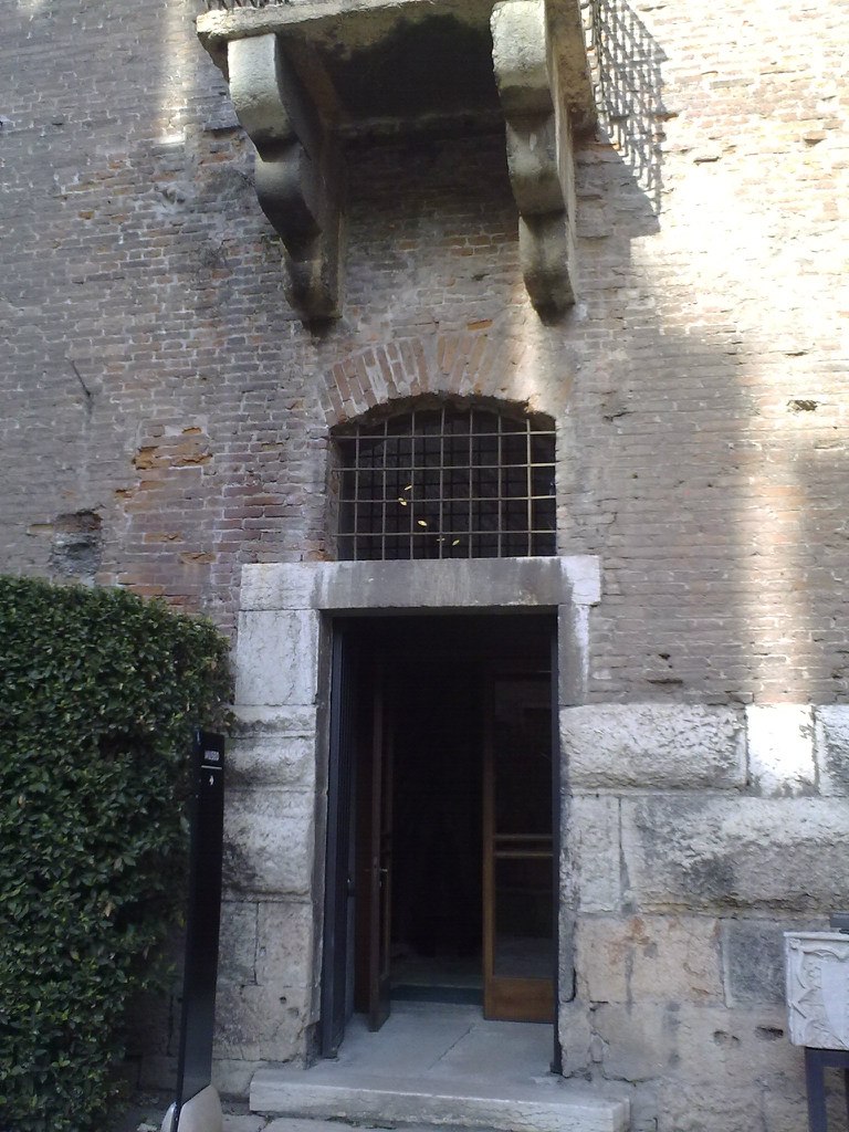 Денис Синицын | Bologna