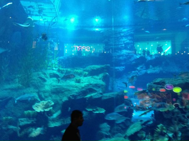 №9, John Blaze, 47 лет, New York City №9, John Blaze, 47 лет, New York City