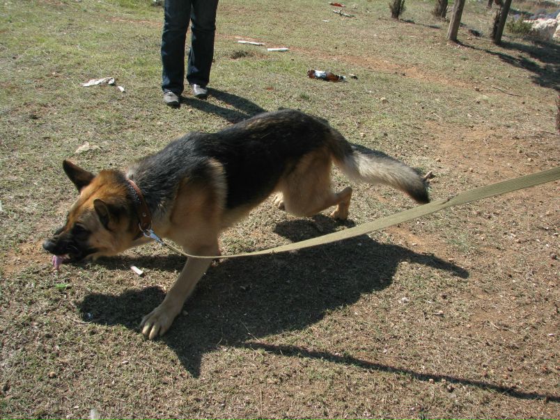 №62, Руслан Гордеев, Львов №62, Руслан Гордеев, Львов