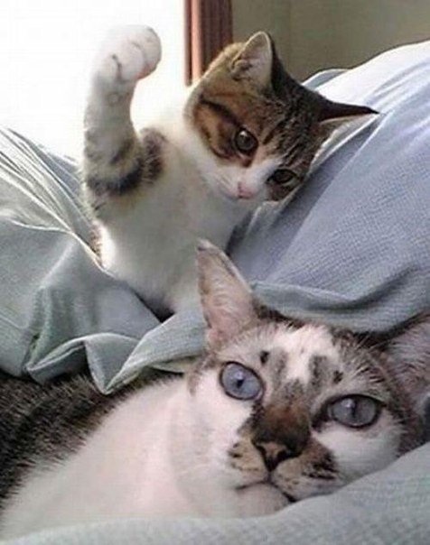 №45, Sleepy Girl №45, Sleepy Girl