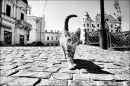 Фотография Сергей Карих