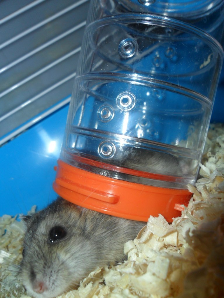 Евгений Тулинцев Евгеньевич | Москва