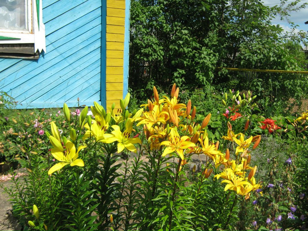 Татьяна Пинаева | Кез