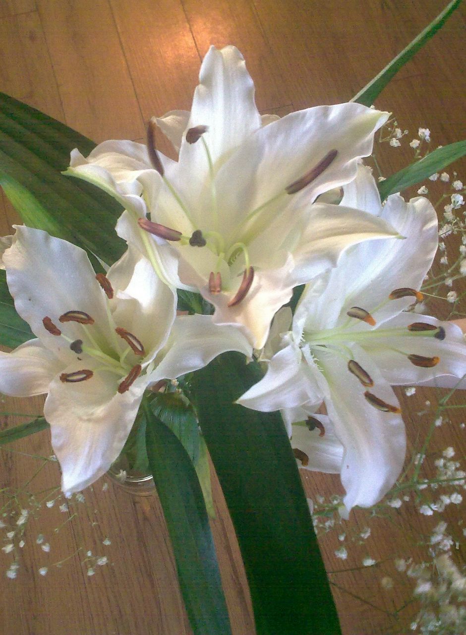 Танюшка Разумная | Иркутск