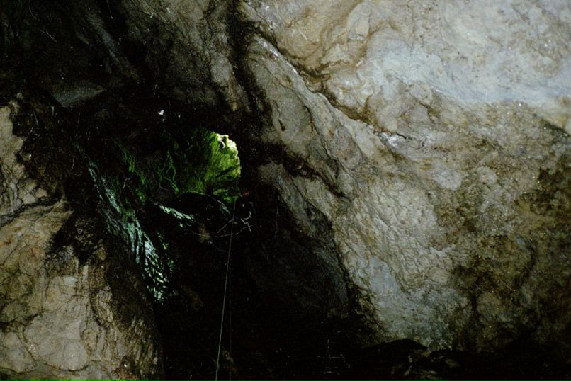 Владимир Маевский | Киев