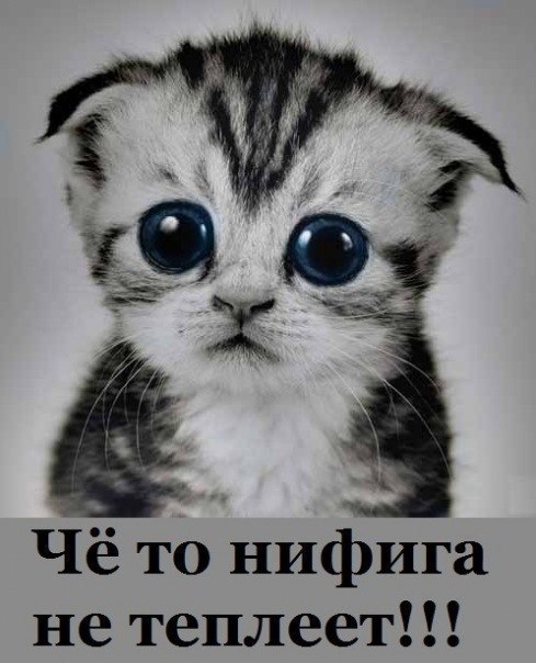 Денис Павлов | Днепр (Днепропетровск)