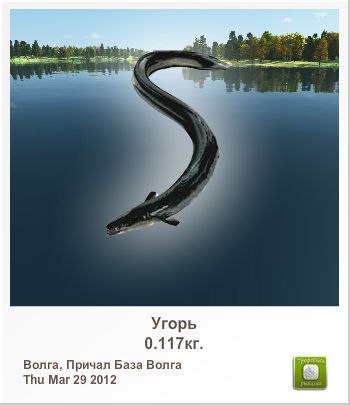 Евгений Витькин | 