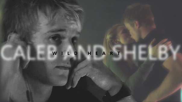 Caleb and Shelby, Wild Heart