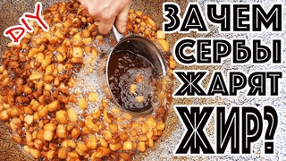 ЧВАРЦЫ ИЛИ ШКВАРКИ ГЛАВНАЯ СЕРБСКАЯ ЕДА! ГДЕ ПОПРОБОВАТЬ ЧВАРЦЫ КАК ПРИГОТОВИТЬ ПОЛЕЗНЫЕ ЧВАРЦИ