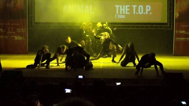 Jo Kwon Animal, Cover T. O. P, Animau