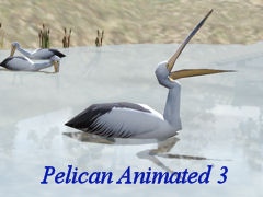 Horse Animated Galloping