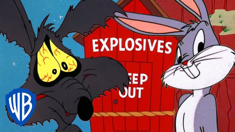 Looney Tunes, Coyote Vs Rabbit, WB