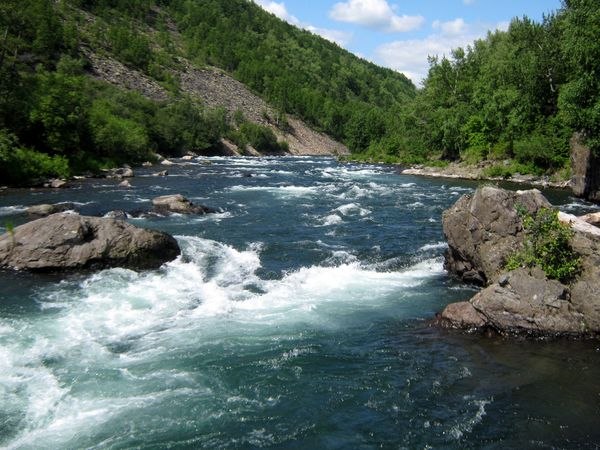 Наталья Хильчевская | Киев