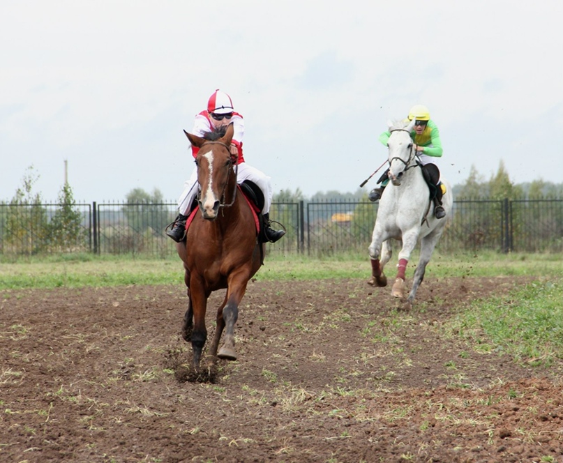 Александр Марков | Йошкар-Ола