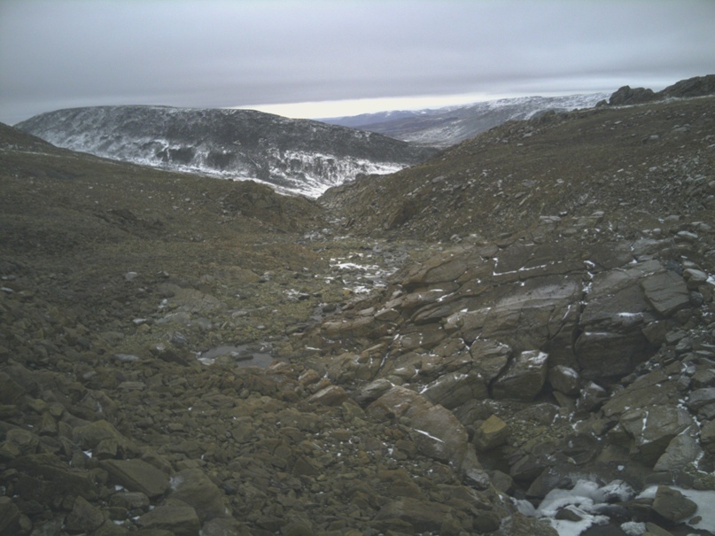 Лев Иванов | Санкт-Петербург