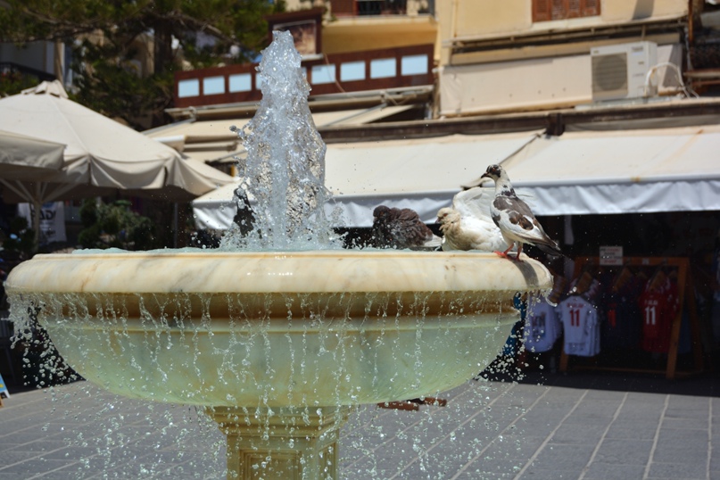 Андрей Алиев | Москва